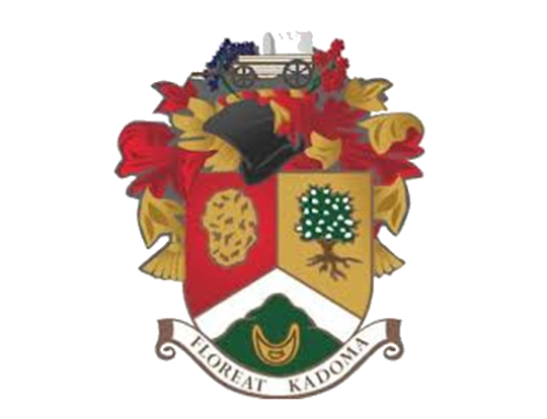Kadoma City Council